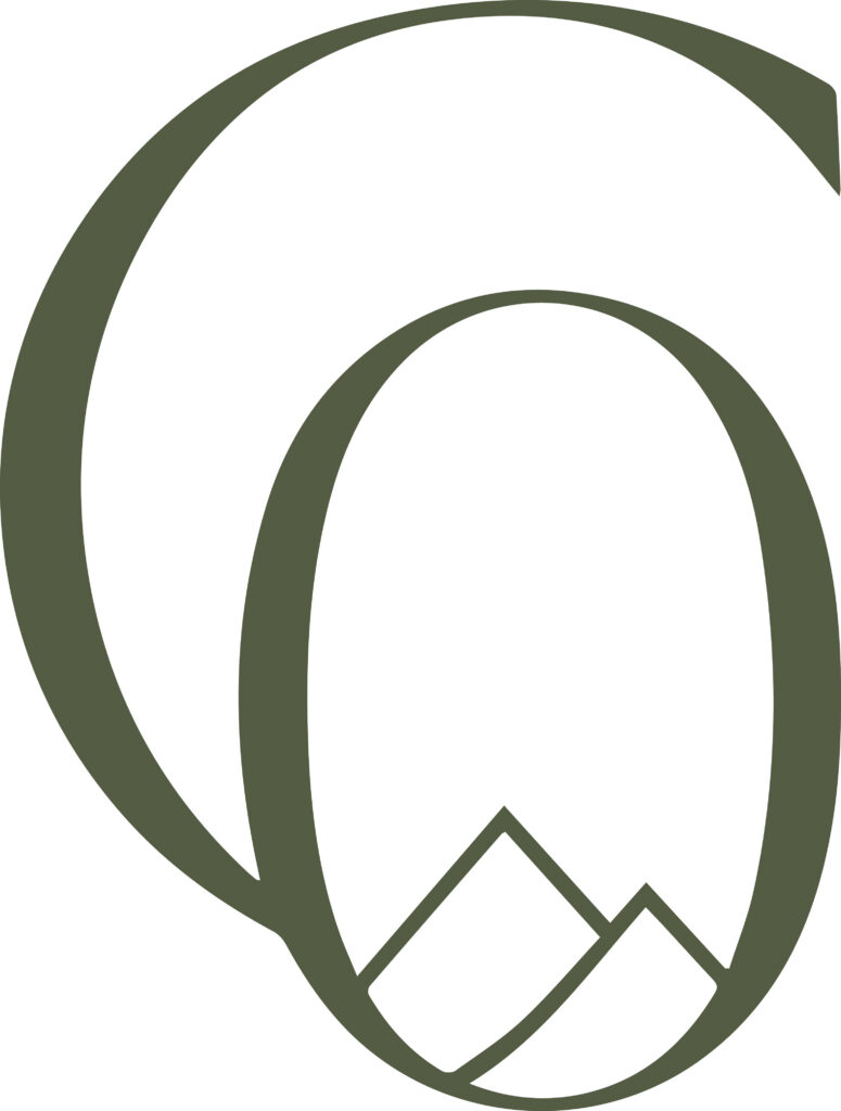 logo casa osira sin texto
